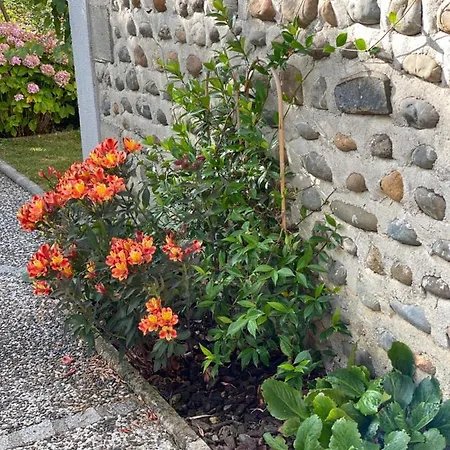 Aou Saintou Guest house Morlaas