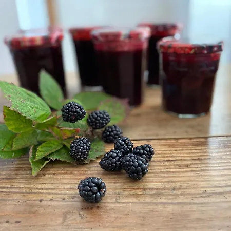 Maison d'hôtes Aou Saintou