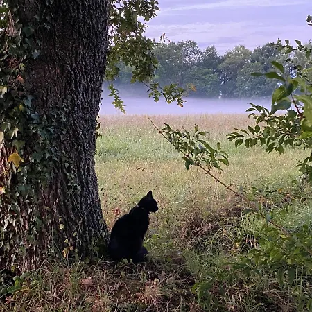 Aou Saintou Maison d'hôtes