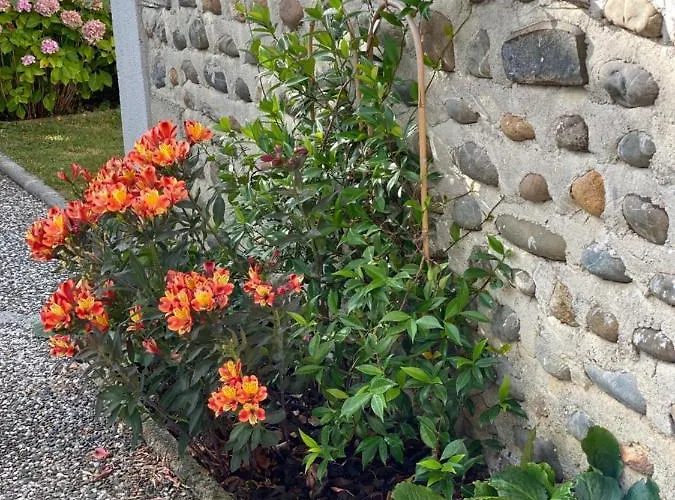 Aou Saintou Гостевой дом Morlaas