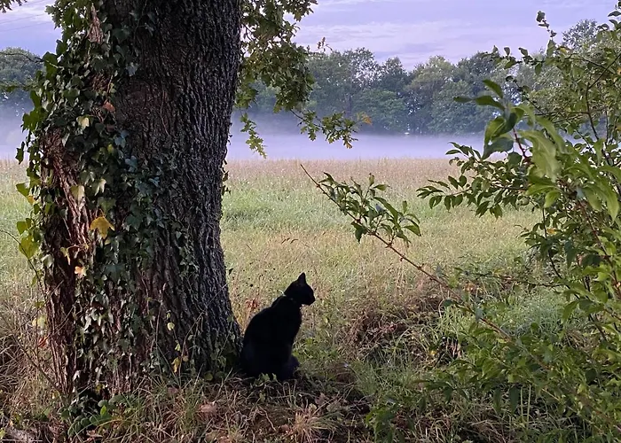 Aou Saintou Гостевой дом