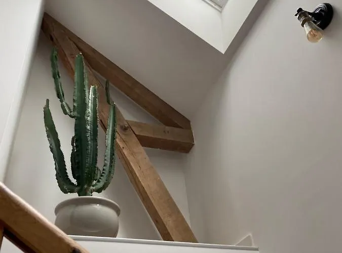 Aou Saintou Гостевой дом Morlaas